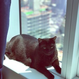 Meet your Posher, Caroline